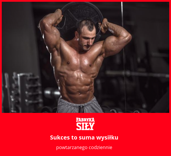 Sukces to suma wysiłku - motywacja do treningu - Fabryka Siły
