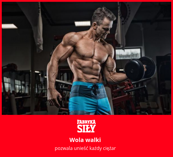 Wola walki - motywacja do treningu - Fabryka Siły
