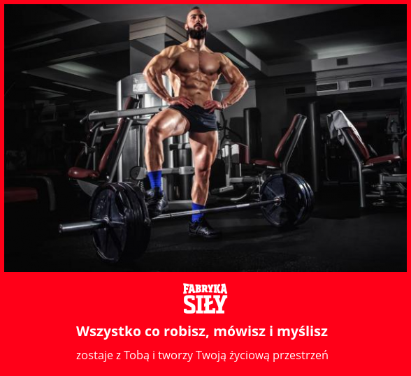 Wszystko co robisz, mówisz i myślisz - motywacja do treningu - Fabryka Siły