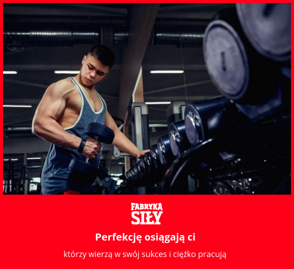 Perfekcję osiągają ci - motywacja do treningu - Fabryka Siły