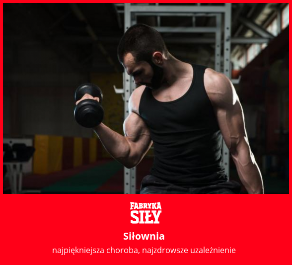 Siłownia - motywacja do treningu - Fabryka Siły