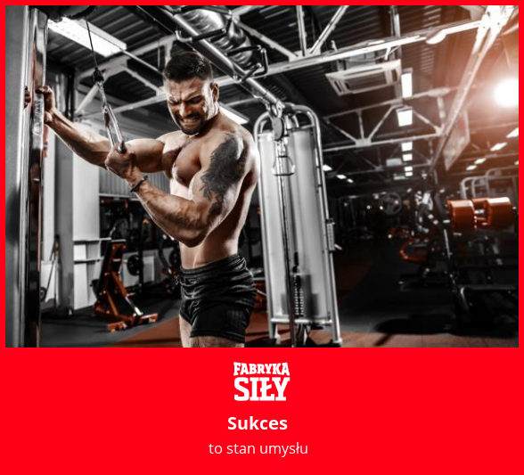 Sukces - motywacja do treningu - Fabryka Siły