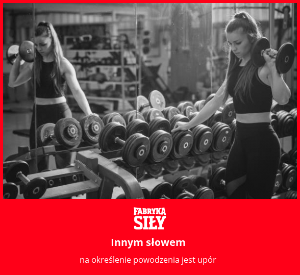 Innym słowem  - motywacja do treningu - Fabryka Siły