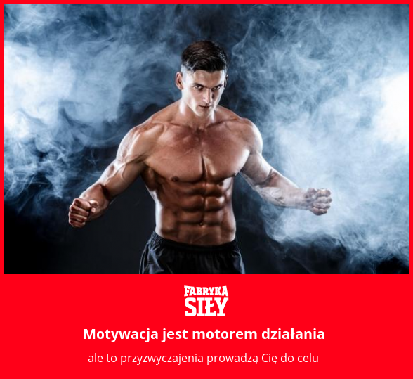 Motywacja jest motorem działania - motywacja do treningu - Fabryka Siły