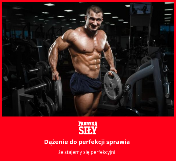 Dążenie do perfekcji sprawia - motywacja do treningu - Fabryka Siły