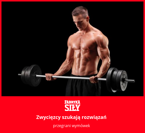Zwycięzcy szukają rozwiązań - motywacja do treningu - Fabryka Siły