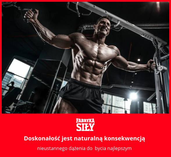 Doskonałość jest naturalną konsekwencją - motywacja do treningu - Fabryka Siły