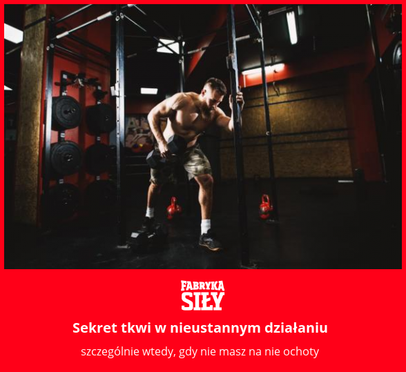 Sekret tkwi w nieustannym działaniu - motywacja do treningu - Fabryka Siły