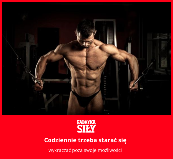 Codziennie trzeba starać się - motywacja do treningu - Fabryka Siły