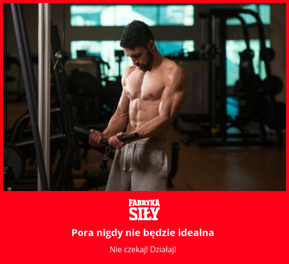 Pora nigdy nie będzie idealna - motywacja do treningu - Fabryka Siły