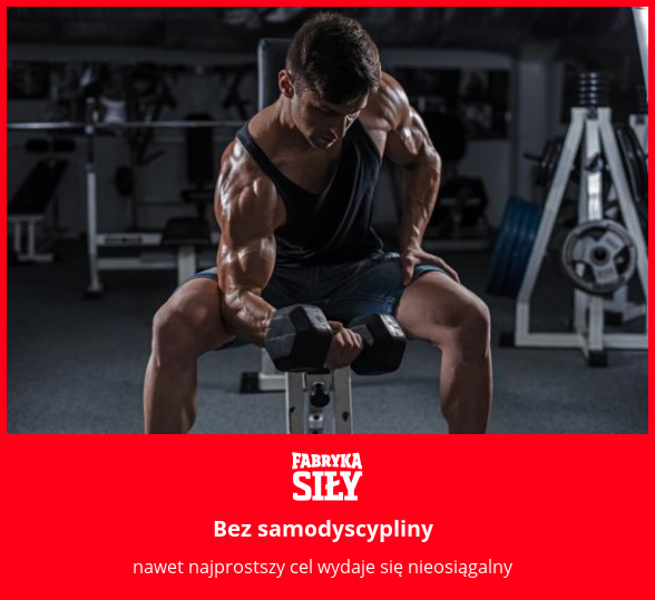 Bez samodyscypliny - motywacja do treningu - Fabryka Siły
