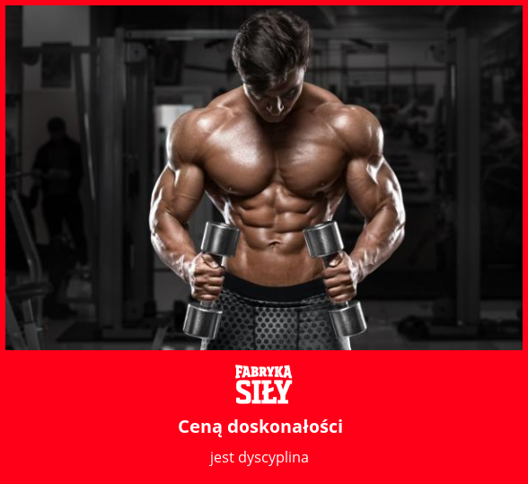 Ceną doskonałości - motywacja do treningu - Fabryka Siły