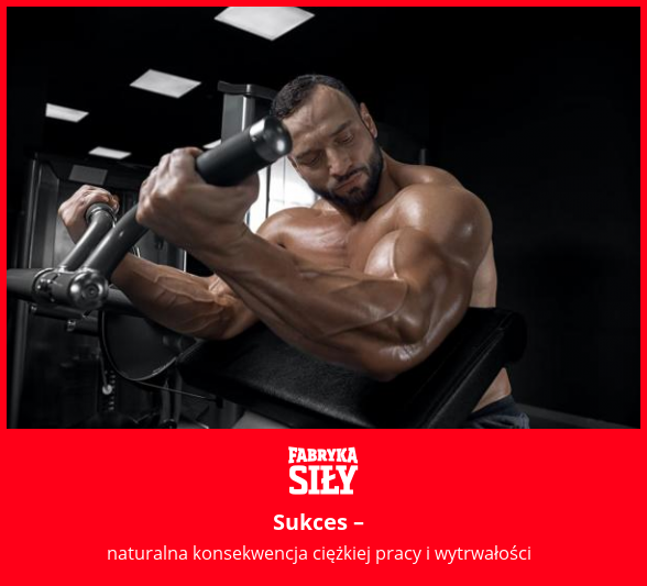 Sukces – - motywacja do treningu - Fabryka Siły
