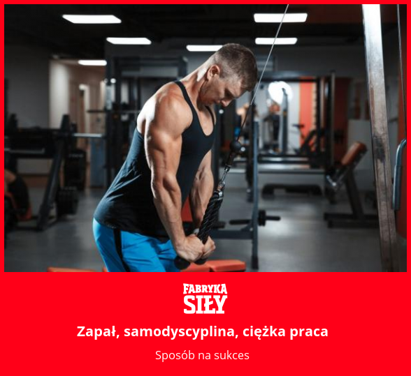 Zapał, samodyscyplina, ciężka praca - motywacja do treningu - Fabryka Siły