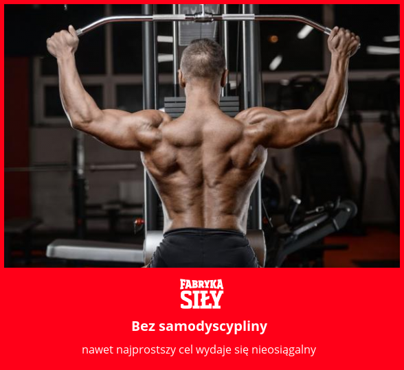 Bez samodyscypliny - motywacja do treningu - Fabryka Siły