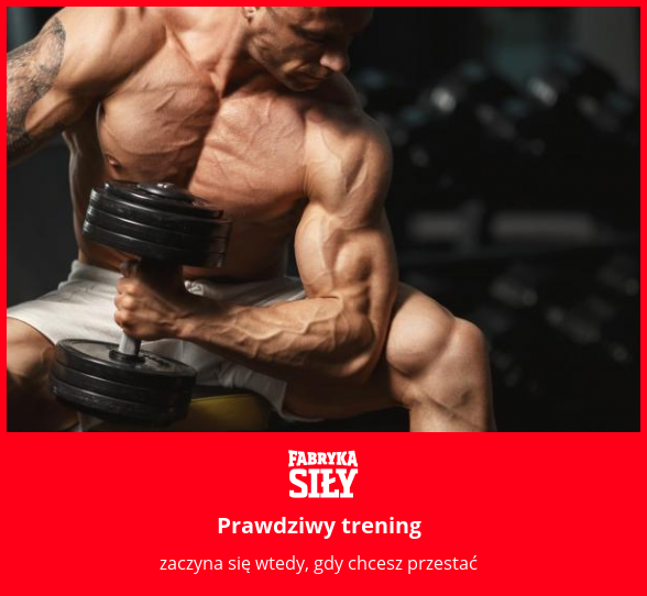 Prawdziwy trening - motywacja do treningu - Fabryka Siły