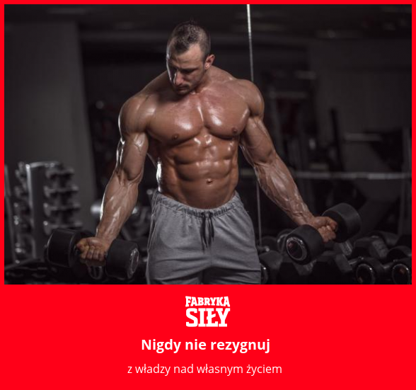 Nigdy nie rezygnuj  - motywacja do treningu - Fabryka Siły