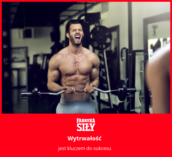 Wytrwałość  - motywacja do treningu - Fabryka Siły