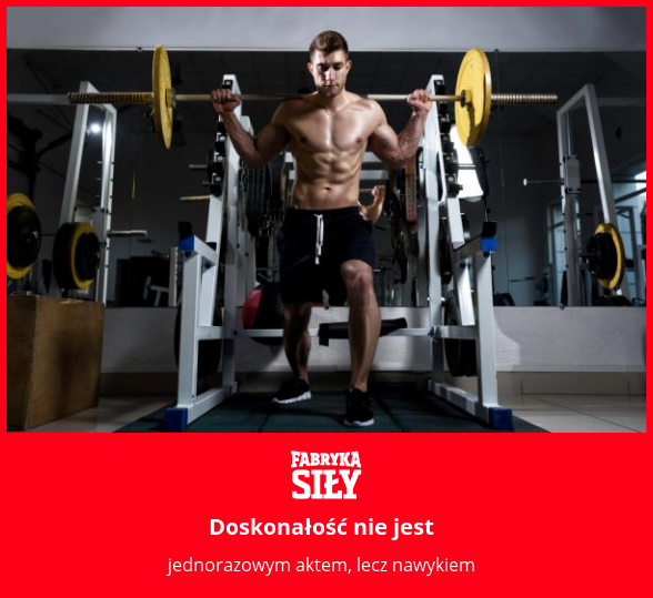 Doskonałość nie jest - motywacja do treningu - Fabryka Siły