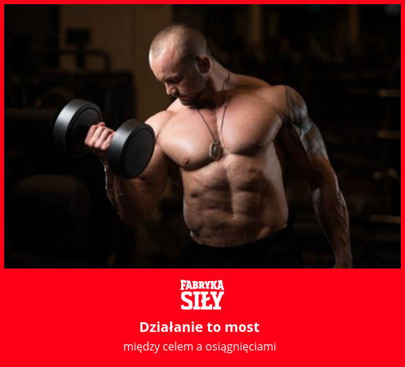 Działanie to most  - motywacja do treningu - Fabryka Siły