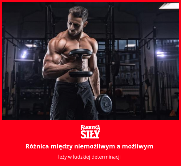 Różnica między niemożliwym a możliwym - motywacja do treningu - Fabryka Siły