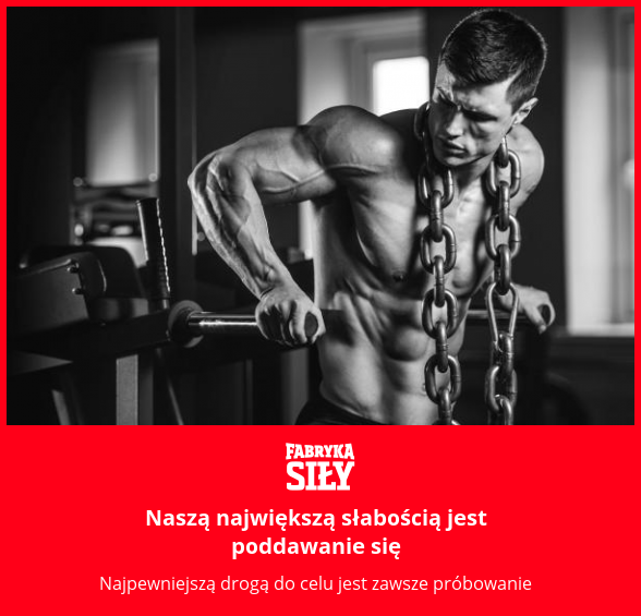 Naszą największą słabością jest poddawanie się - motywacja do treningu - Fabryka Siły