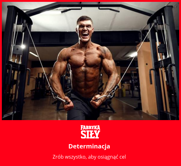 Determinacja - motywacja do treningu - Fabryka Siły