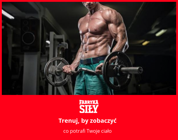 Trenuj, by zobaczyć - motywacja do treningu - Fabryka Siły