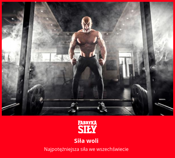 Siła woli - motywacja do treningu - Fabryka Siły