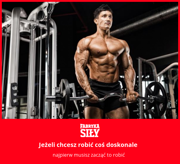 Jeżeli chcesz robić coś doskonale - motywacja do treningu - Fabryka Siły
