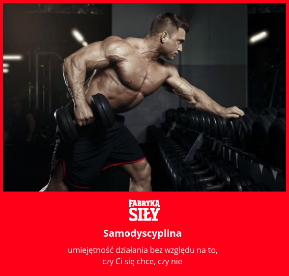 Samodyscyplina - motywacja do treningu - Fabryka Siły