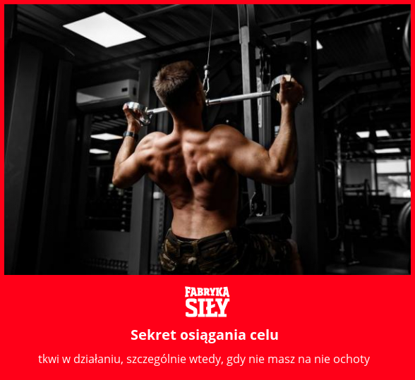 Sekret osiągania celu  - motywacja do treningu - Fabryka Siły