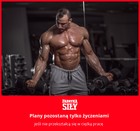 Plany pozostaną tylko życzeniami - motywacja do treningu - Fabryka Siły