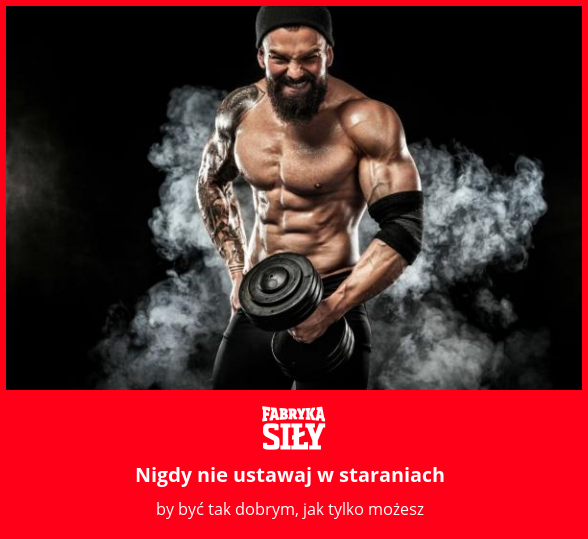 Nigdy nie ustawaj w staraniach - motywacja do treningu - Fabryka Siły