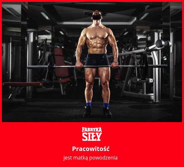 Pracowitość - motywacja do treningu - Fabryka Siły