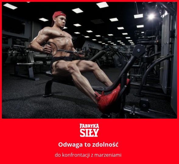 Odwaga to zdolność - motywacja do treningu - Fabryka Siły