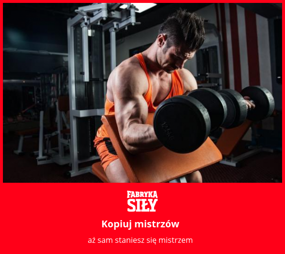 Kopiuj mistrzów - motywacja do treningu - Fabryka Siły