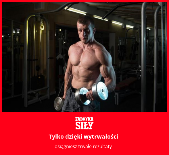 Tylko dzięki wytrwałości - motywacja do treningu - Fabryka Siły