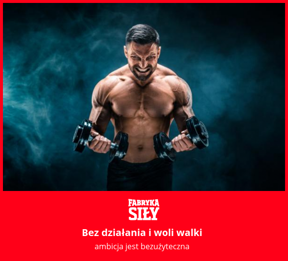 Bez działania i woli walki - motywacja do treningu - Fabryka Siły