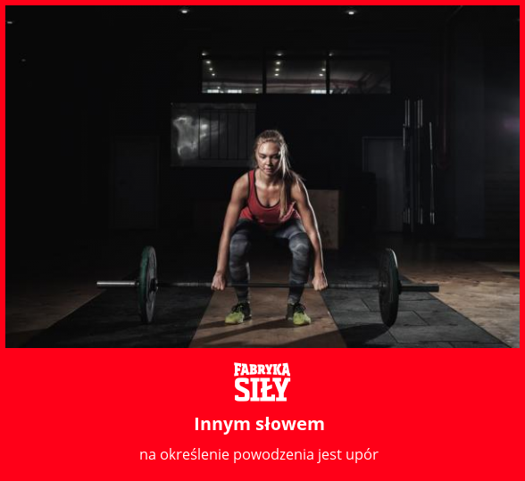 Innym słowem - motywacja do treningu - Fabryka Siły
