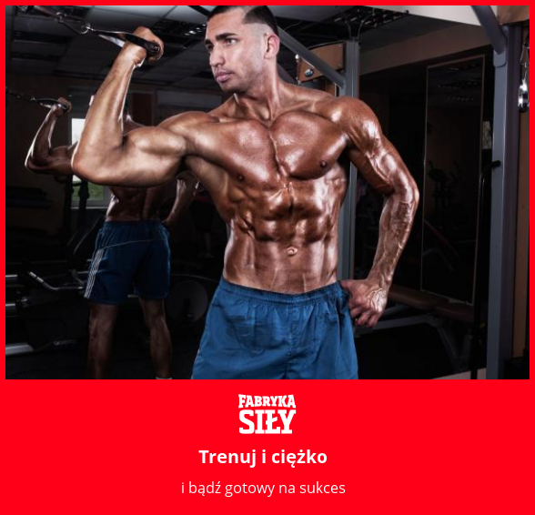 Trenuj i ciężko - motywacja do treningu - Fabryka Siły