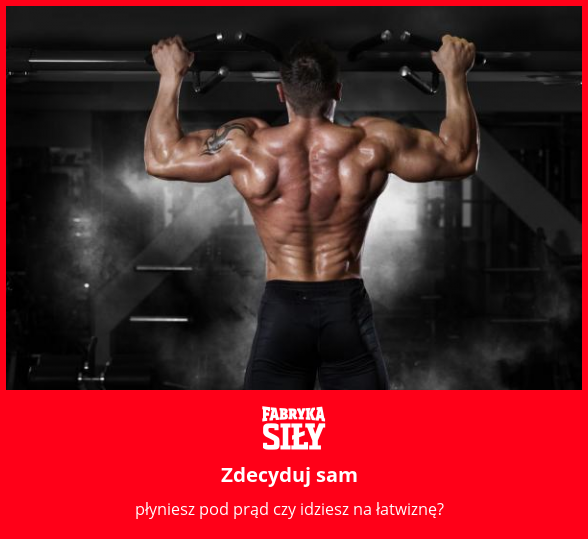 Zdecyduj sam - motywacja do treningu - Fabryka Siły