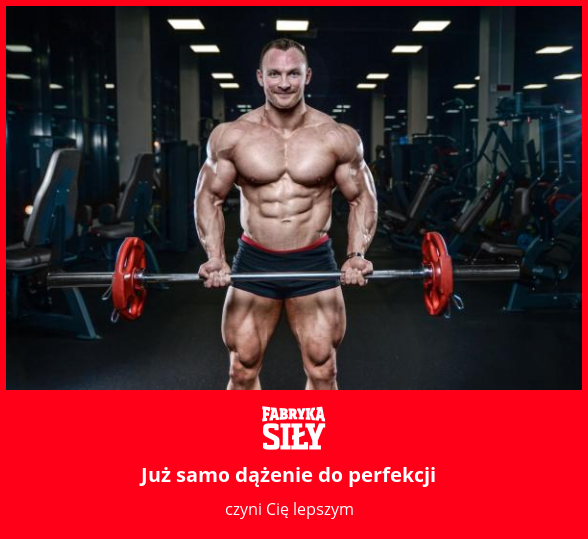 Już samo dążenie do perfekcji - motywacja do treningu - Fabryka Siły
