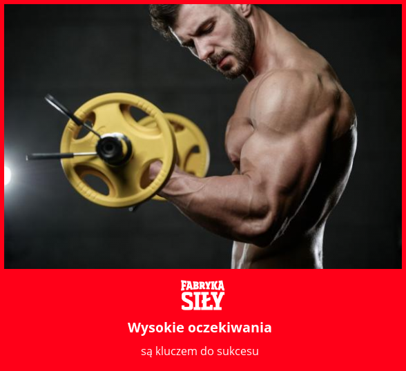 Wysokie oczekiwania - motywacja do treningu - Fabryka Siły