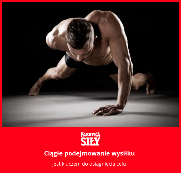 Ciągłe podejmowanie wysiłku - motywacja do treningu - Fabryka Siły