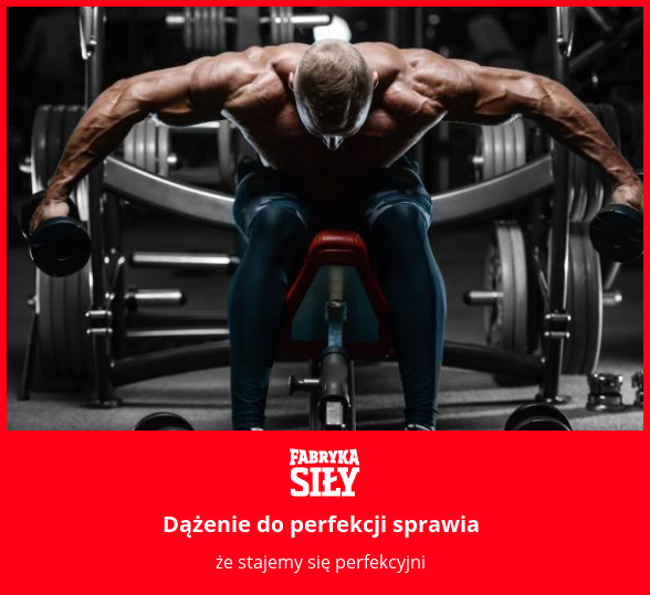 Dążenie do perfekcji sprawia - motywacja do treningu - Fabryka Siły
