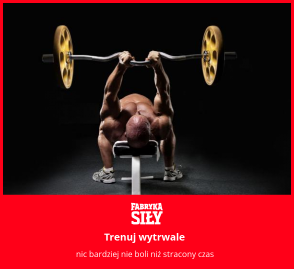 Trenuj wytrwale - motywacja do treningu - Fabryka Siły