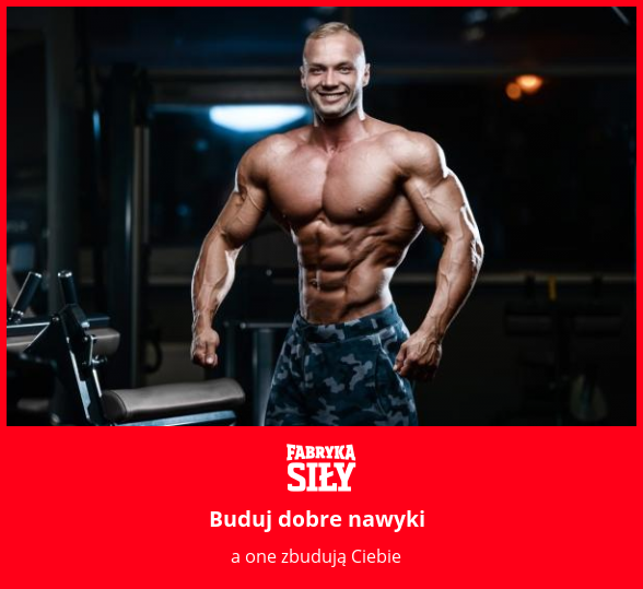 Buduj dobre nawyki - motywacja do treningu - Fabryka Siły