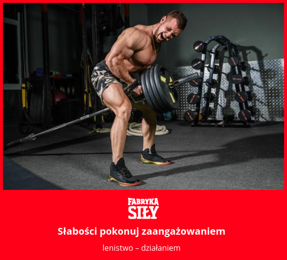 Słabości pokonuj zaangażowaniem - motywacja do treningu - Fabryka Siły