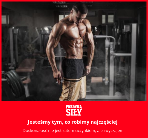 Jesteśmy tym, co robimy najczęściej - motywacja do treningu - Fabryka Siły